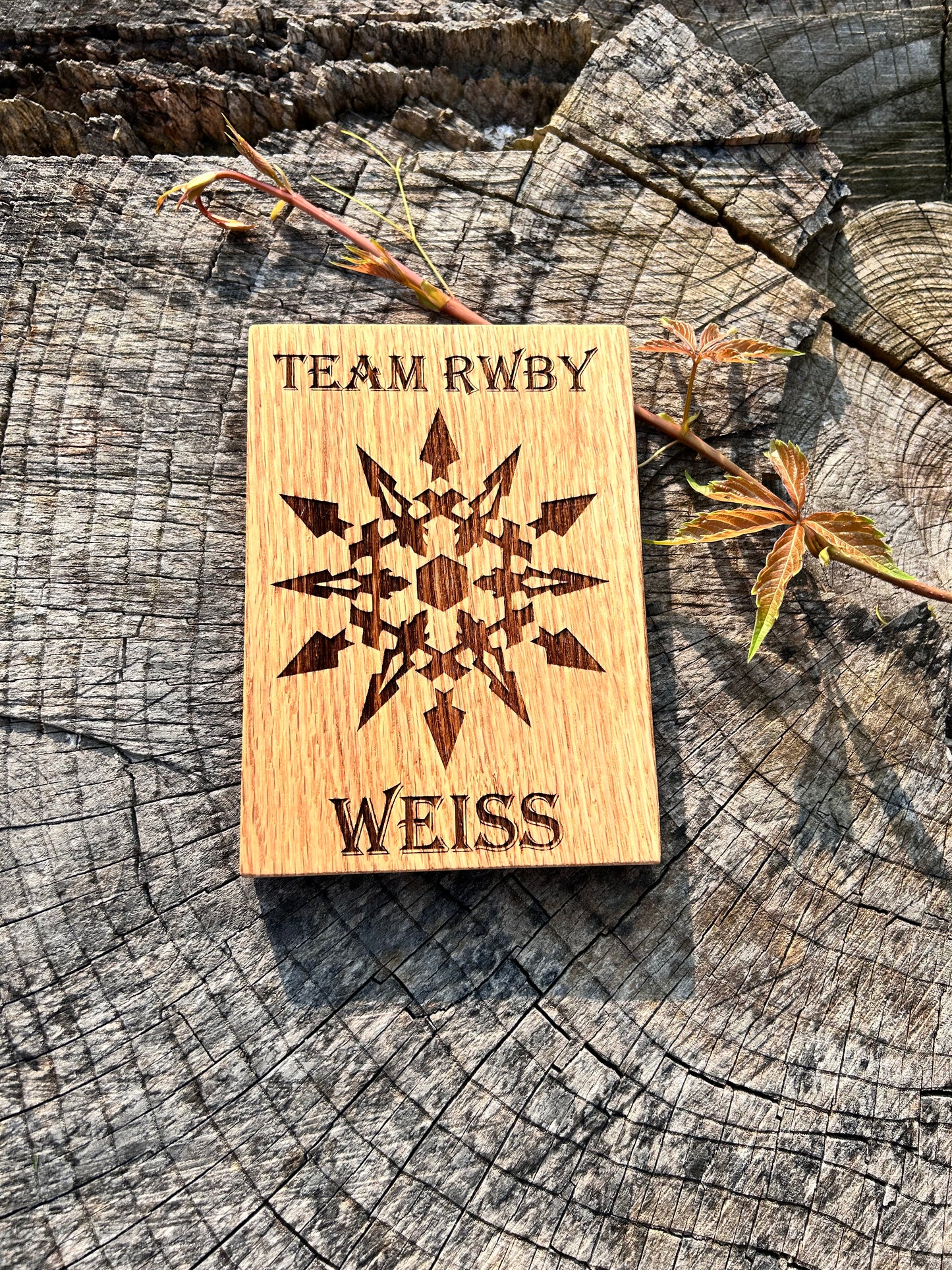Team RWBY Weiss plaque