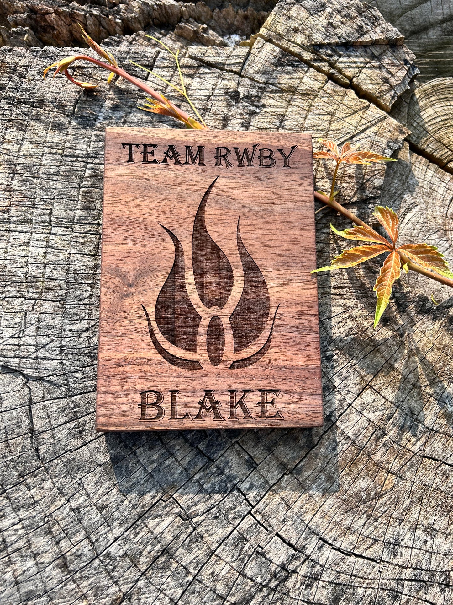 Team RWBY Blake plaque