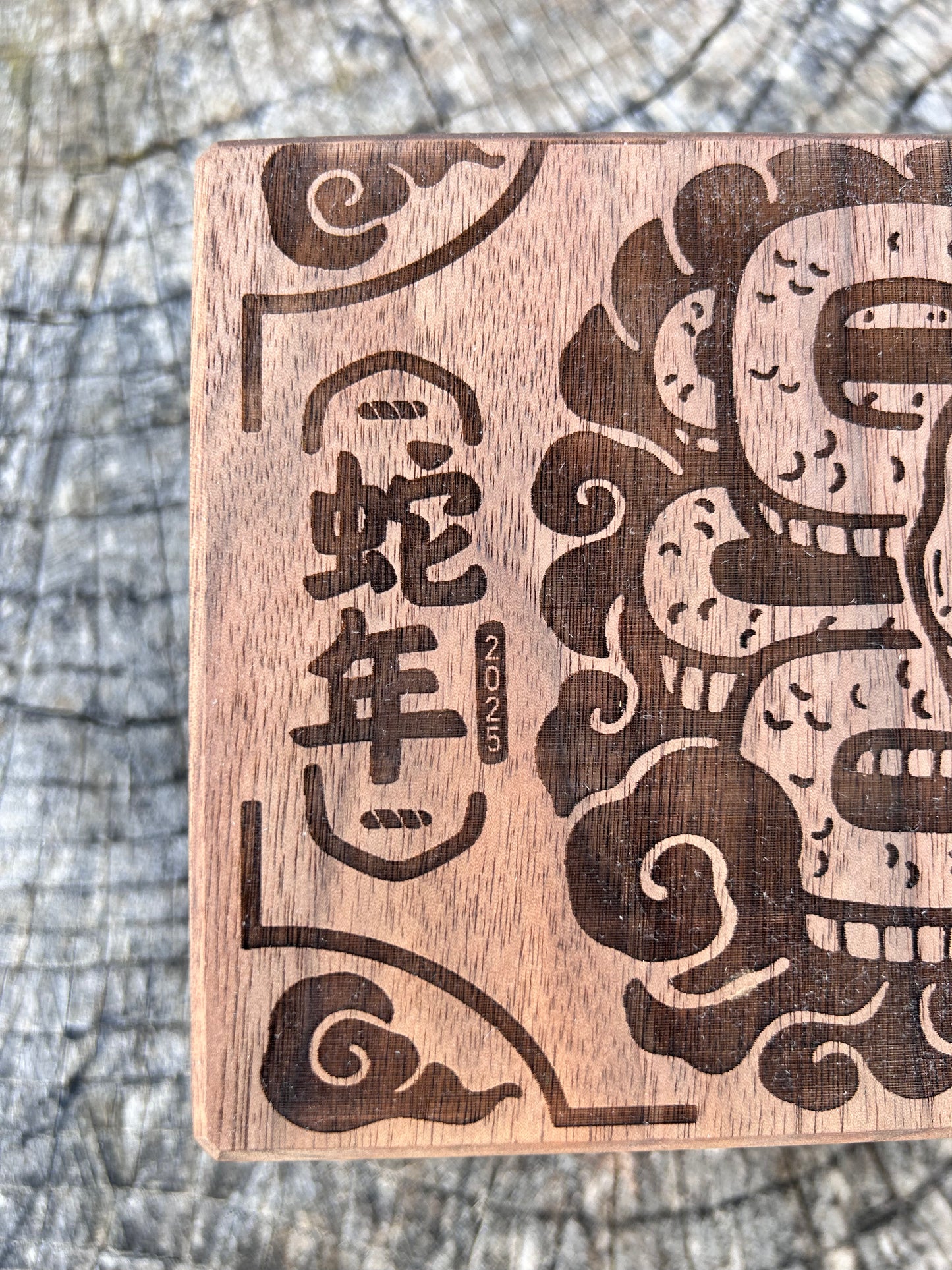 Year of the Snake: MTG Commander Deck Box