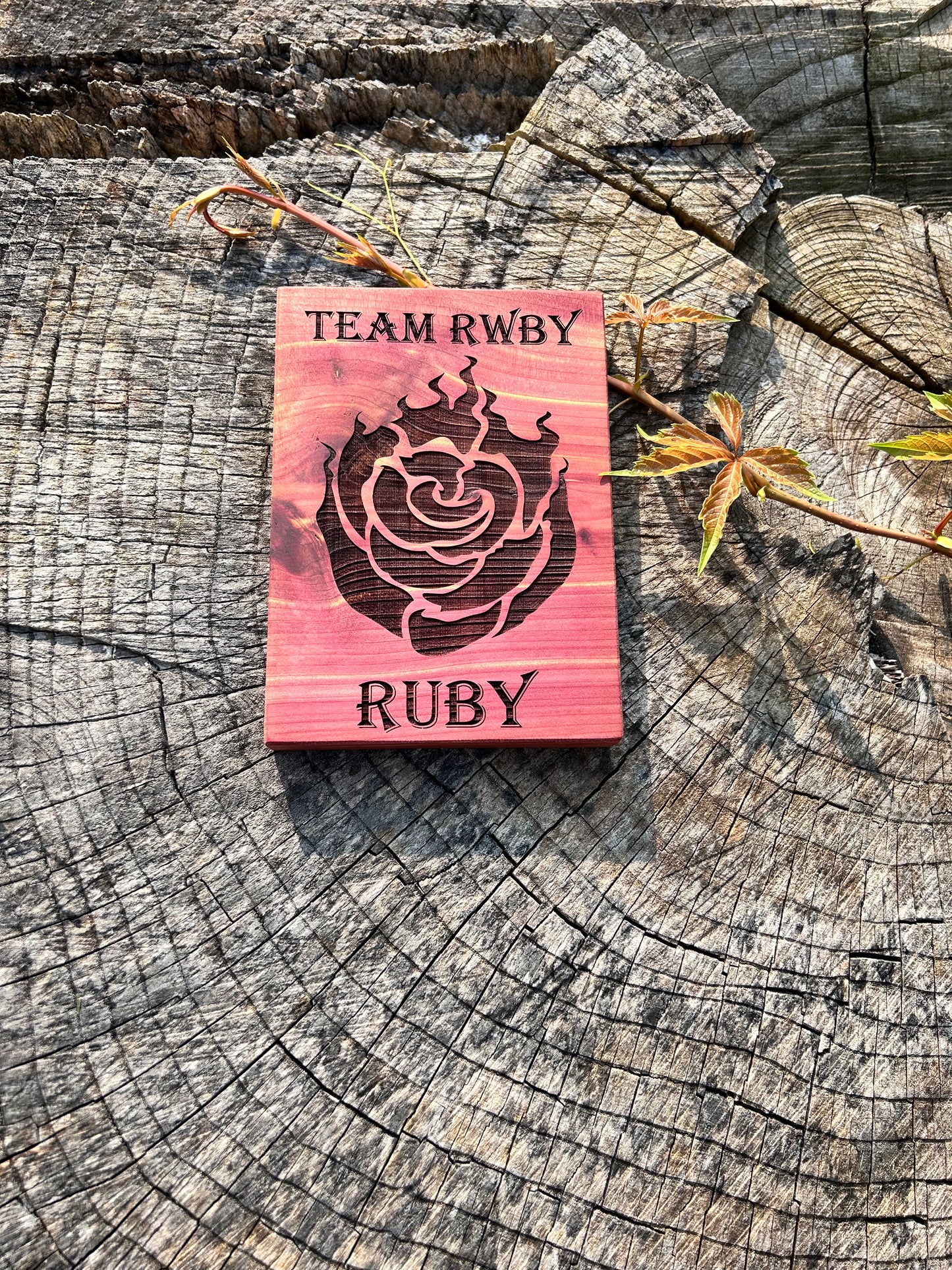 Team RWBY Ruby plaque