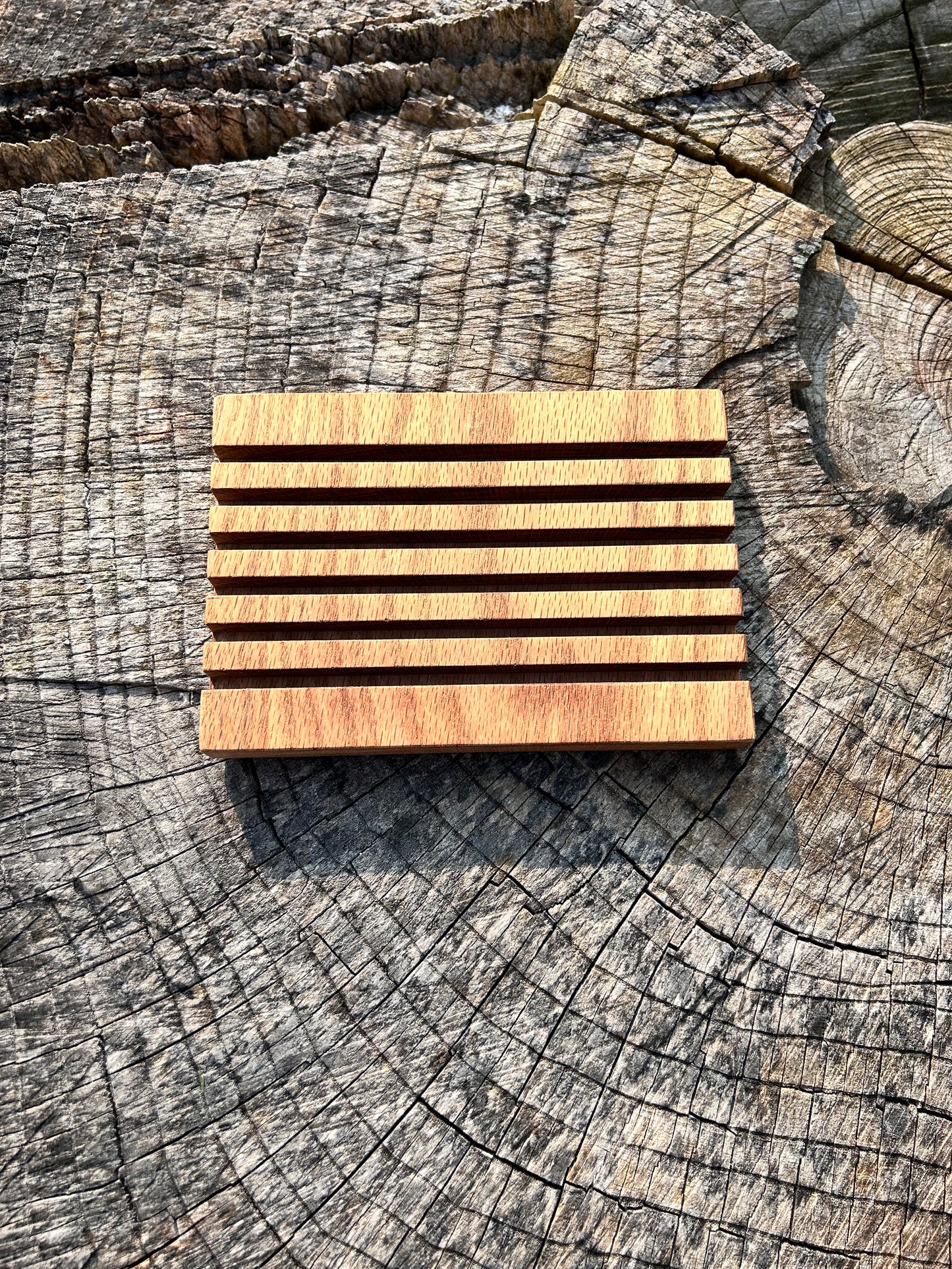 Card Holding Tray/Challenge Coin Display